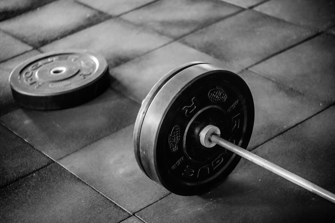 GYM 참고 이미지 2