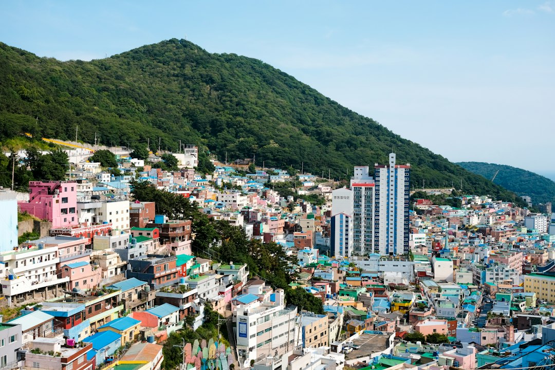 호텔회원권 참고 이미지 2